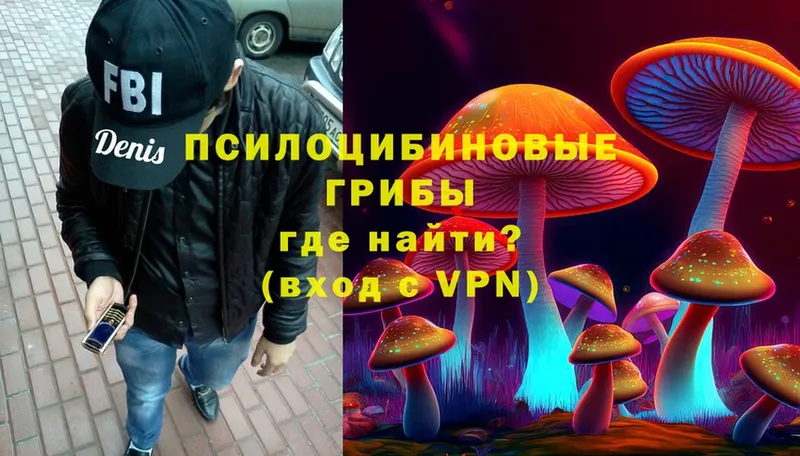 Галлюциногенные грибы Psilocybine cubensis  Туран 